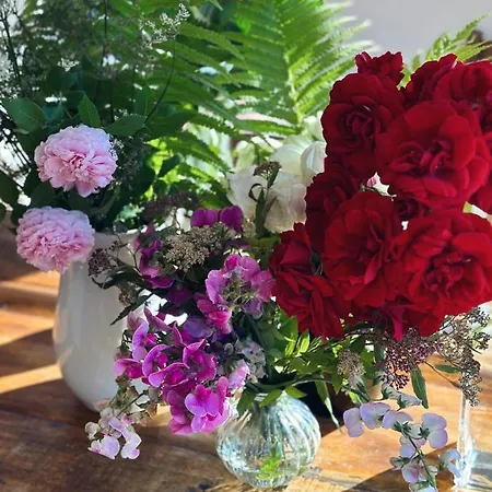 Abrahams Bayr * Schechen