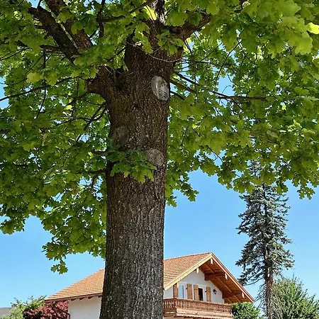 Feriehus Abrahams Bayr