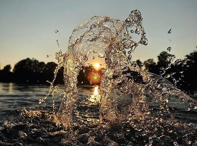 Ferienhaus Abrahams Bayr