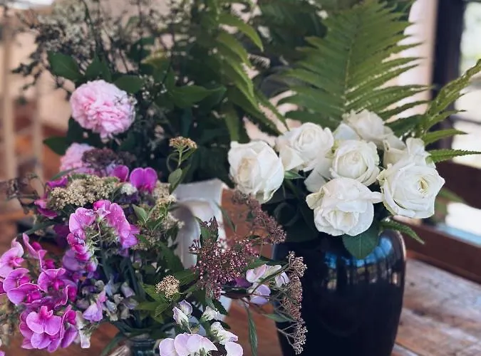 Abrahams Bayr * Schechen