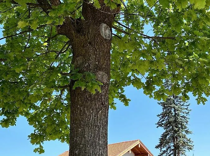 Ferienhaus Abrahams Bayr