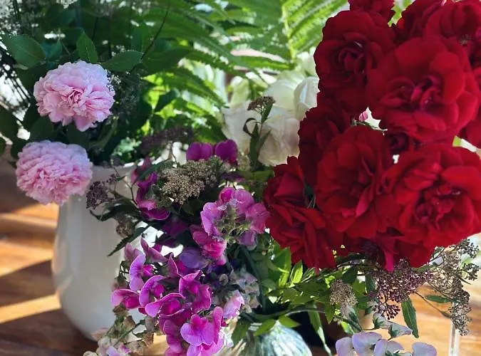 Abrahams Bayr * Schechen